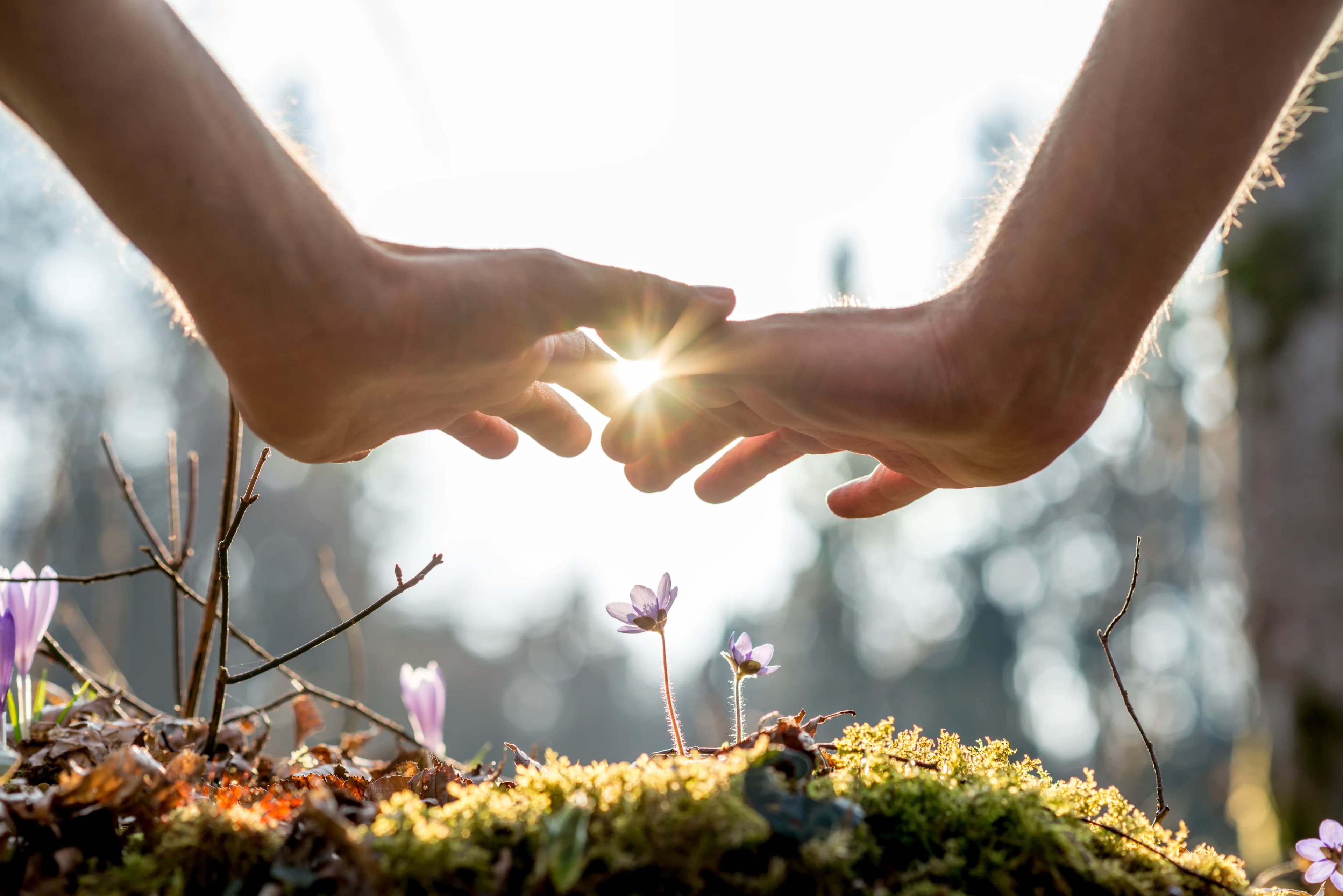 Healing hands