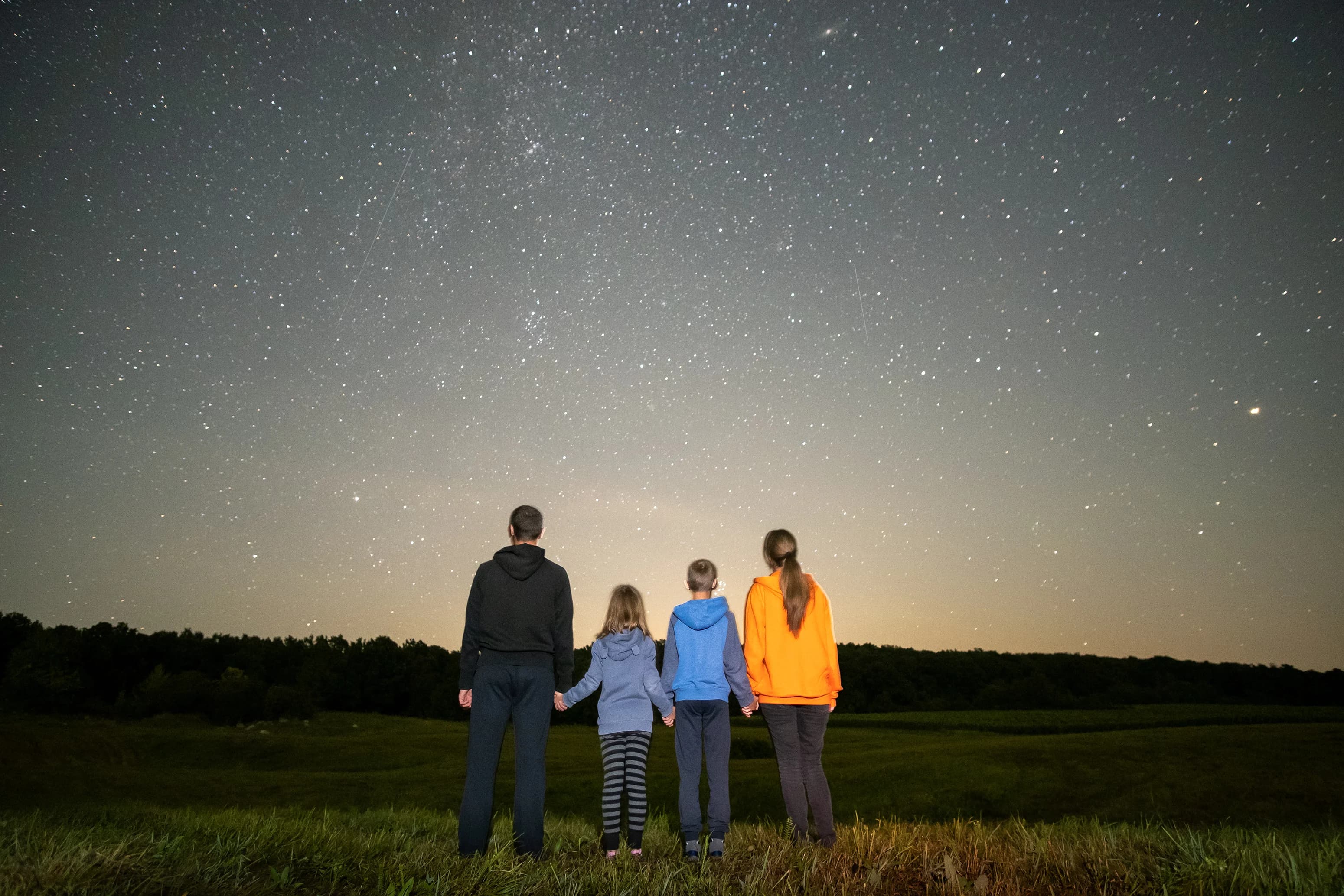 Systemic / Family Constellation Therapy detail