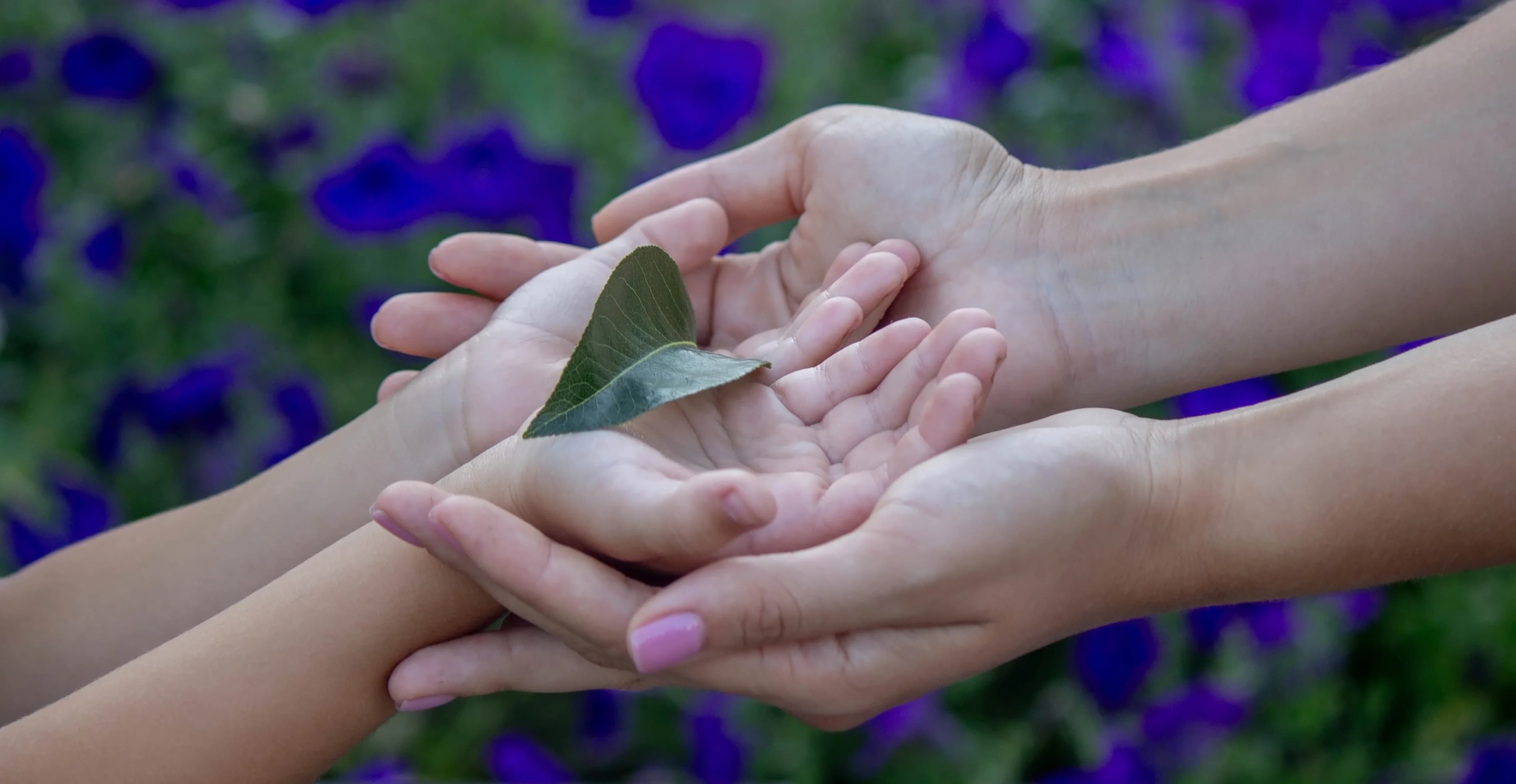 Compassion